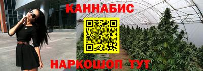 СК Краснодар